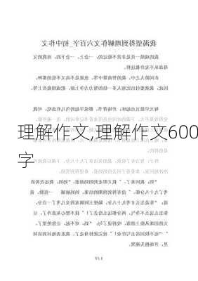 理解作文,理解作文600字