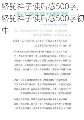 骆驼祥子读后感500字,骆驼祥子读后感500字初中