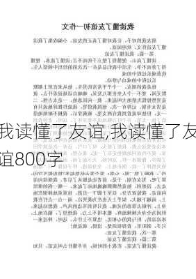 我读懂了友谊,我读懂了友谊800字