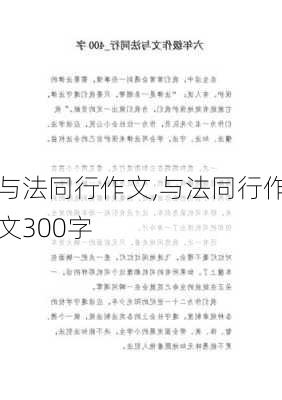 与法同行作文,与法同行作文300字