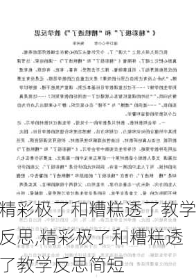 精彩极了和糟糕透了教学反思,精彩极了和糟糕透了教学反思简短