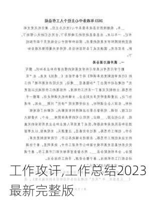 工作攻讦,工作总结2023最新完整版