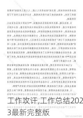 工作攻讦,工作总结2023最新完整版