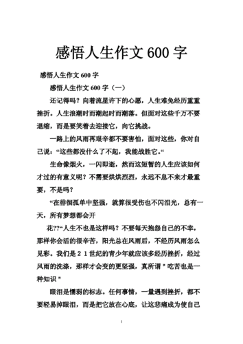 人生感悟的作文,人生感悟的作文600字