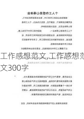 工作感想范文,工作感想范文300字