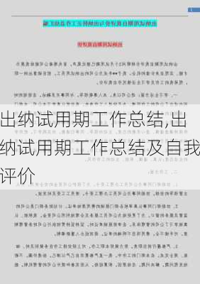 出纳试用期工作总结,出纳试用期工作总结及自我评价