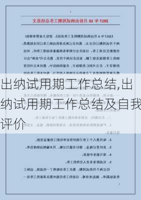 出纳试用期工作总结,出纳试用期工作总结及自我评价