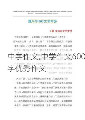 中学作文,中学作文600字优秀作文