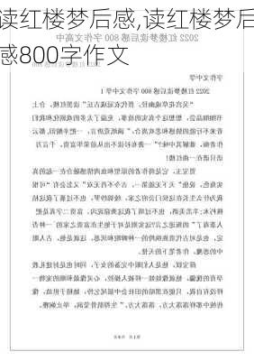 读红楼梦后感,读红楼梦后感800字作文