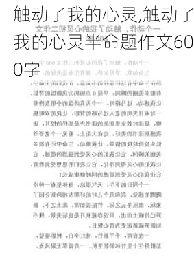 触动了我的心灵,触动了我的心灵半命题作文600字