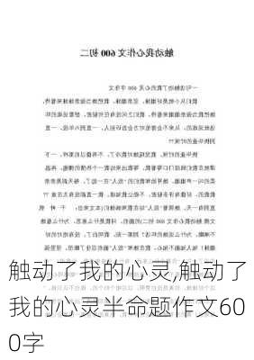 触动了我的心灵,触动了我的心灵半命题作文600字