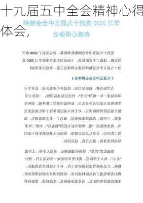 十九届五中全会精神心得体会,