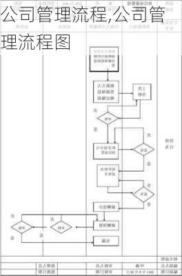 公司管理流程,公司管理流程图