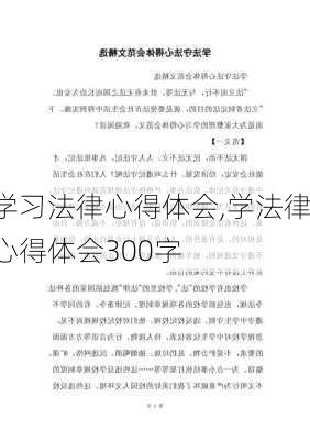 学习法律心得体会,学法律心得体会300字