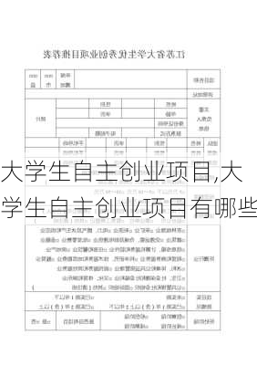 大学生自主创业项目,大学生自主创业项目有哪些