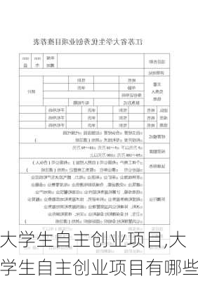 大学生自主创业项目,大学生自主创业项目有哪些