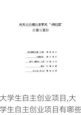 大学生自主创业项目,大学生自主创业项目有哪些