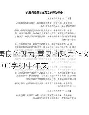 善良的魅力,善良的魅力作文600字初中作文