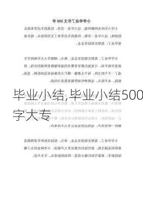 毕业小结,毕业小结500字大专