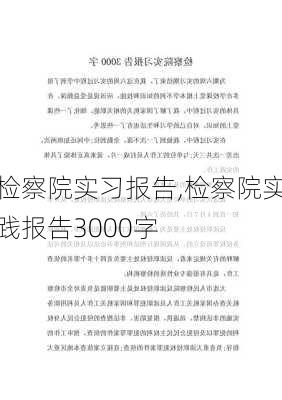 检察院实习报告,检察院实践报告3000字