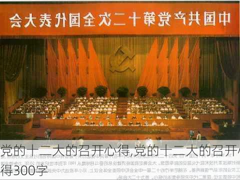 党的十二大的召开心得,党的十二大的召开心得300字