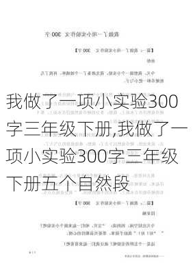 我做了一项小实验300字三年级下册,我做了一项小实验300字三年级下册五个自然段