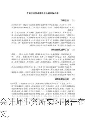 会计师事务所实习报告范文,