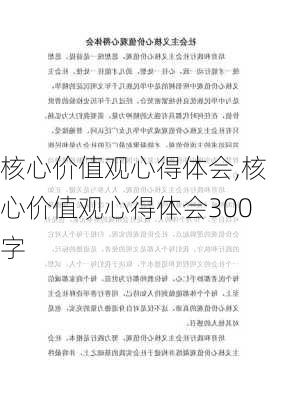 核心价值观心得体会,核心价值观心得体会300字