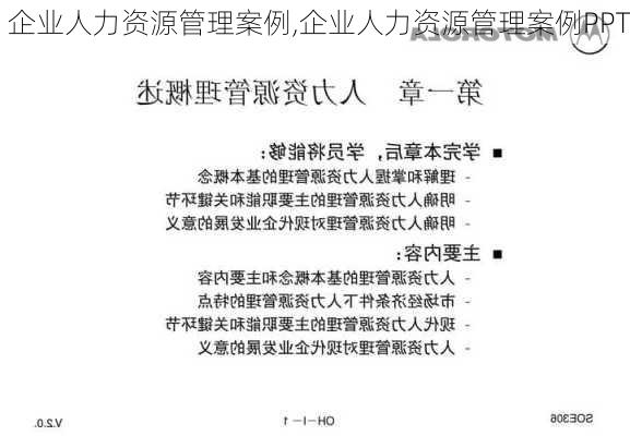 企业人力资源管理案例,企业人力资源管理案例PPT