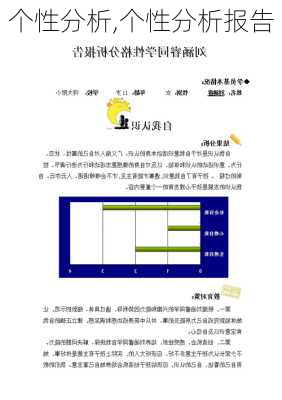 个性分析,个性分析报告