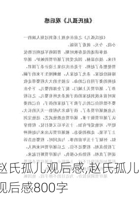 赵氏孤儿观后感,赵氏孤儿观后感800字