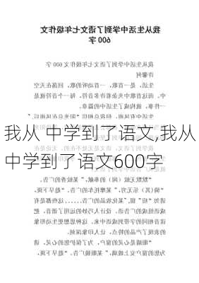 我从 中学到了语文,我从中学到了语文600字