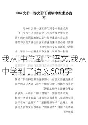 我从 中学到了语文,我从中学到了语文600字