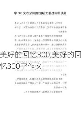 美好的回忆300,美好的回忆300字作文