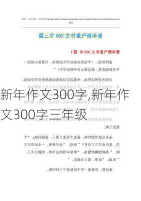 新年作文300字,新年作文300字三年级