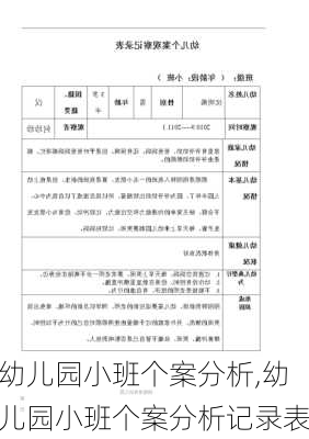 幼儿园小班个案分析,幼儿园小班个案分析记录表