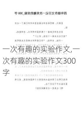 一次有趣的实验作文,一次有趣的实验作文300字