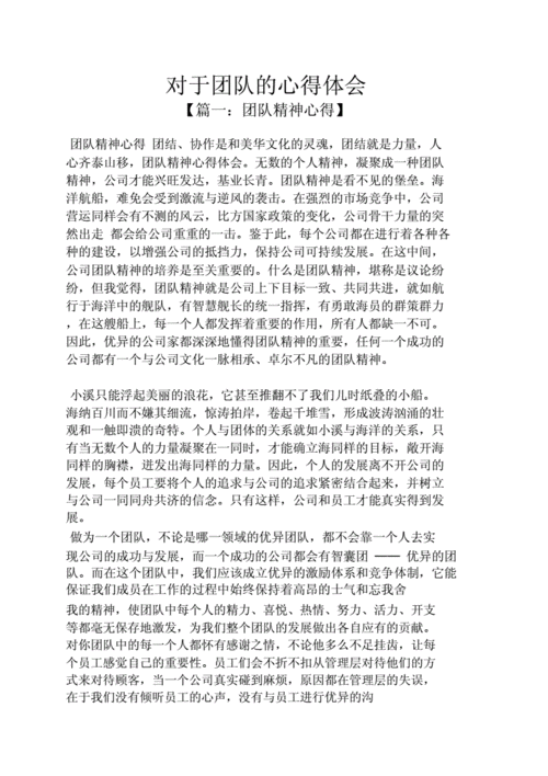 团队精神与企业凝聚力,团队精神与企业凝聚力论文