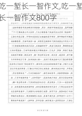 吃一堑长一智作文,吃一堑长一智作文800字