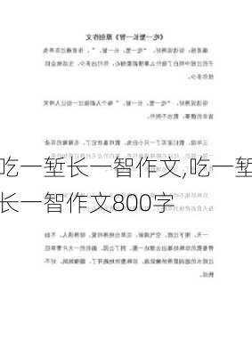 吃一堑长一智作文,吃一堑长一智作文800字