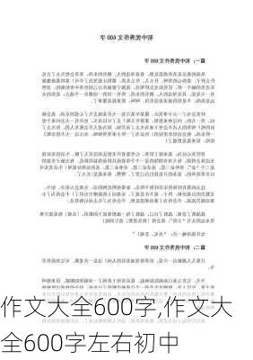 作文大全600字,作文大全600字左右初中