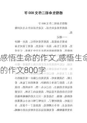 感悟生命的作文,感悟生命的作文800字