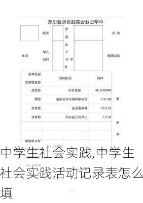 中学生社会实践,中学生社会实践活动记录表怎么填