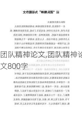 团队精神论文,团队精神论文800字