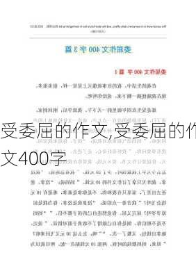 受委屈的作文,受委屈的作文400字