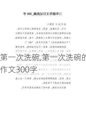 第一次洗碗,第一次洗碗的作文300字