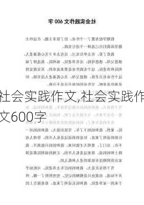 社会实践作文,社会实践作文600字