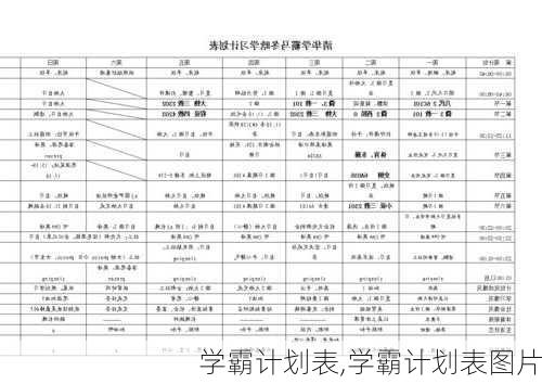 学霸计划表,学霸计划表图片