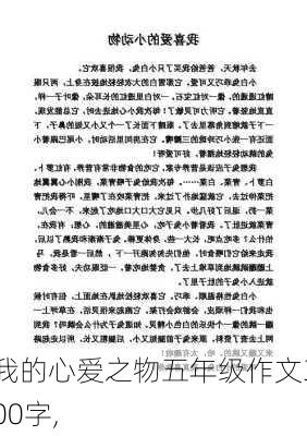 我的心爱之物五年级作文300字,