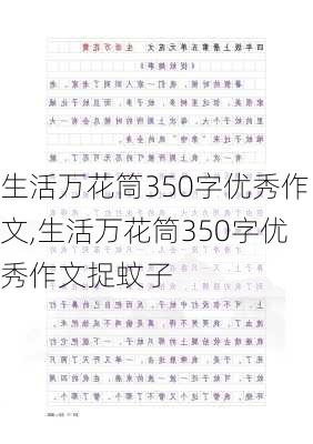 生活万花筒350字优秀作文,生活万花筒350字优秀作文捉蚊子